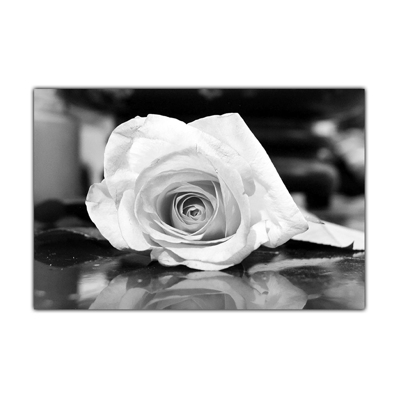 Black And White Rose Canvas Wall Art Picture Print for the Living Room, Bedroom, Home Decor