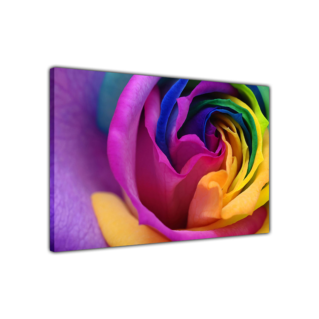 Rainbow Rose New Canvas Wall Art Picture Print for the Living Room, Bedroom, Home Decor