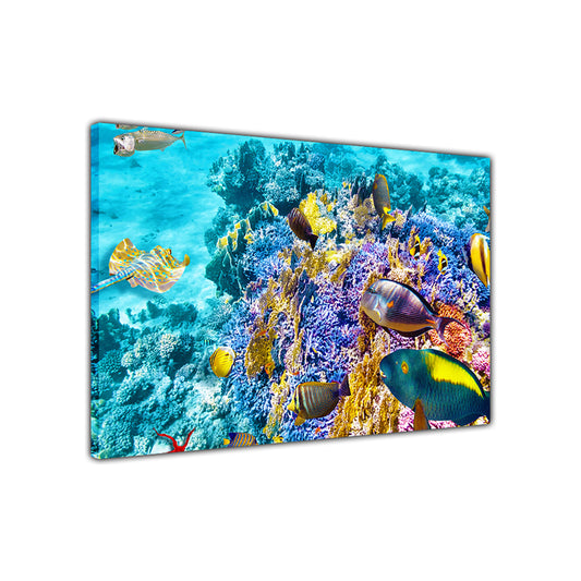 Underwater Sea Life Canvas Wall Art Picture Print for the Living Room, Bedroom, Home Decor