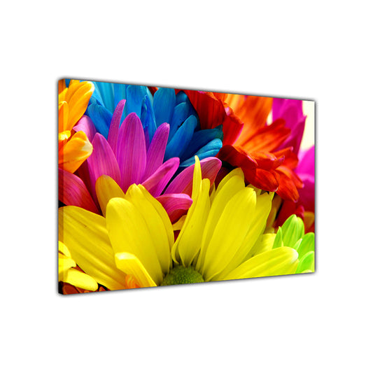Rainbow Daisies Canvas Wall Art Picture Print for the Living Room, Bedroom, Home Decor
