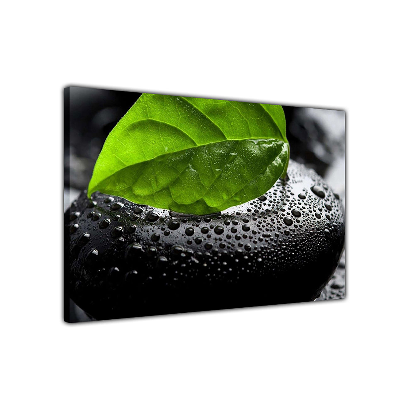 Green Leaf Pebble Canvas Wall Art Picture Print for the Living Room, Bedroom, Home Decor