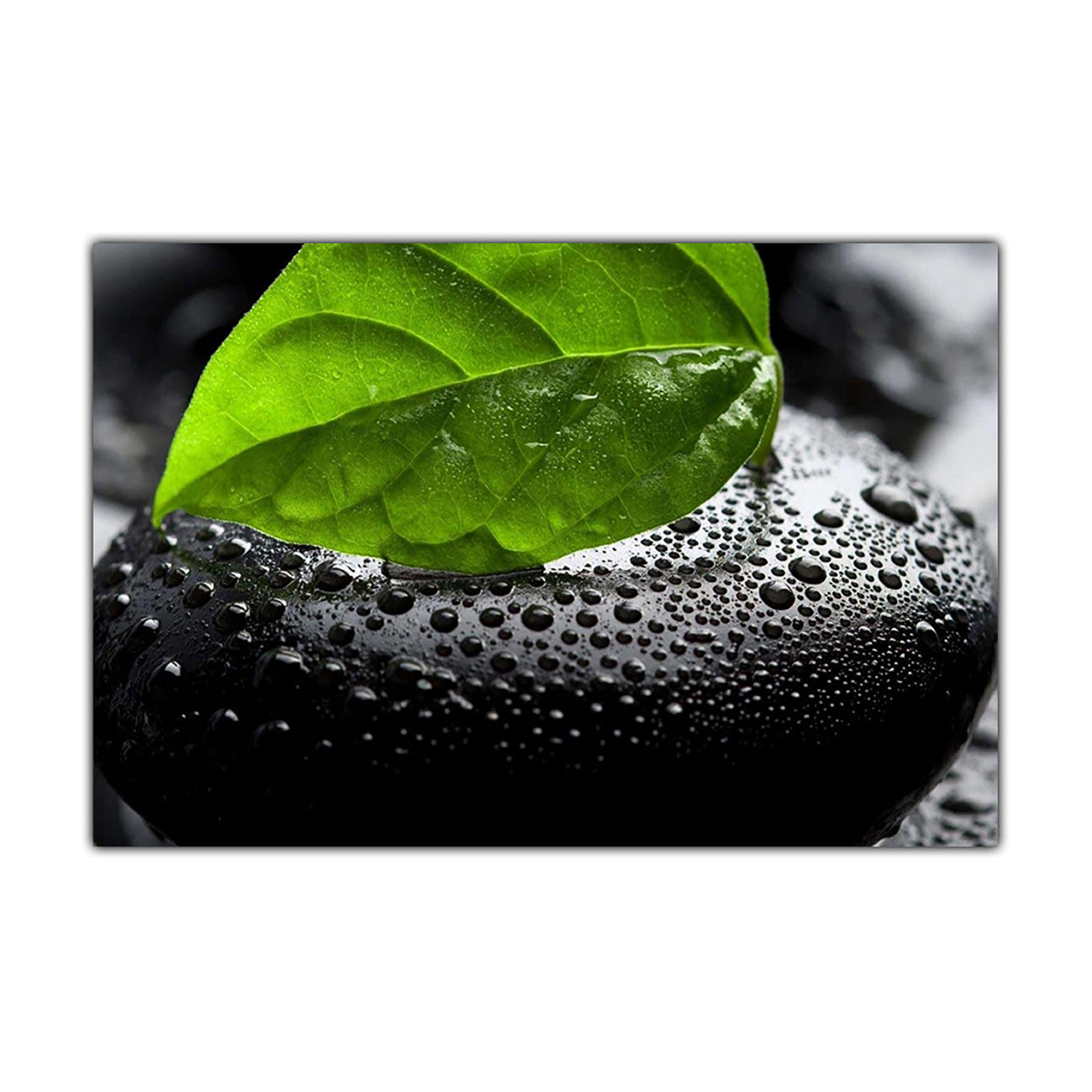Green Leaf Pebble Canvas Wall Art Picture Print for the Living Room, Bedroom, Home Decor