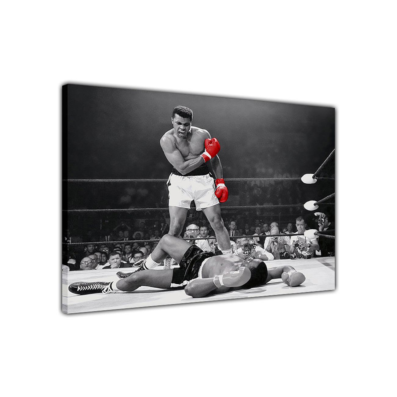Ali Red Gloves Canvas Wall Art Picture Print for the Living Room, Bedroom, Home Decor