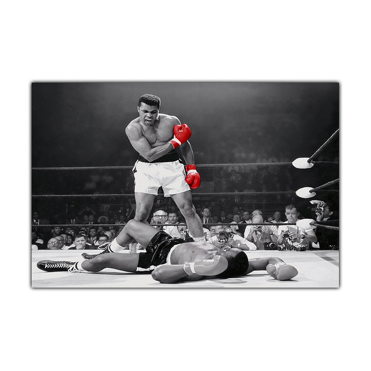 Ali Red Gloves Canvas Wall Art Picture Print for the Living Room, Bedroom, Home Decor
