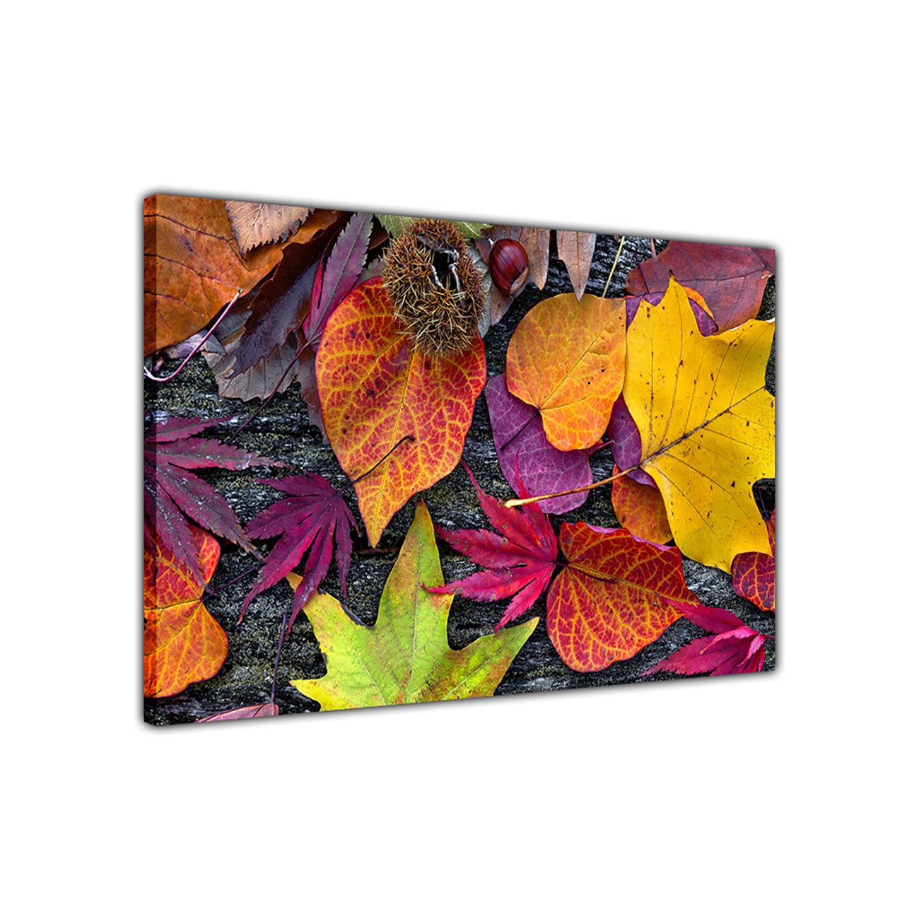 Colourful Autumn Leaves Canvas Wall Art Picture Print for the Living Room, Bedroom, Home Decor