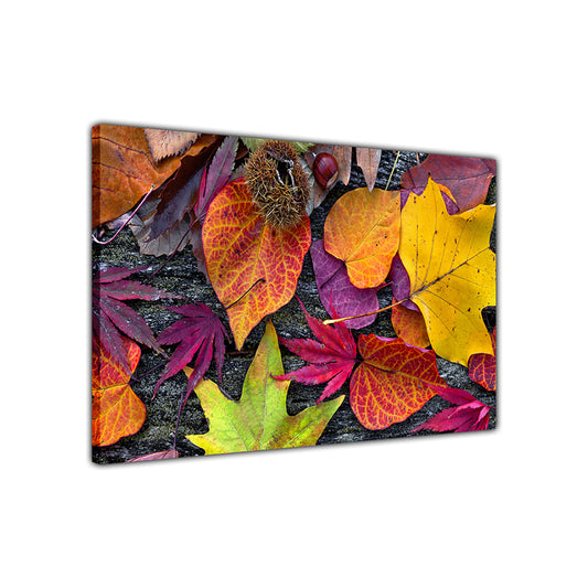 Colourful Autumn Leaves Canvas Wall Art Picture Print for the Living Room, Bedroom, Home Decor