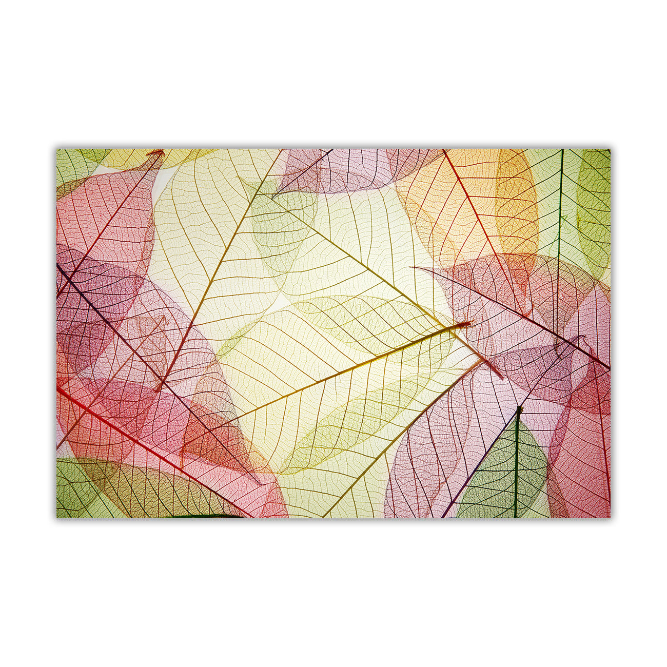 Leaf Abstract Canvas Wall Art Picture Print for the Living Room, Bedroom, Home Decor