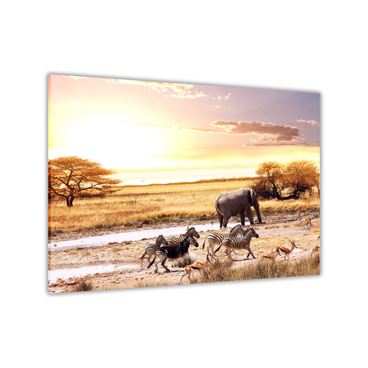 African Wild Animals Canvas Wall Art Picture Print for the Living Room, Bedroom, Home Decor