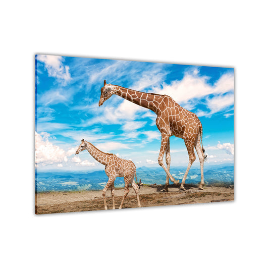 Baby Giraffe Blue Sky Canvas Wall Art Picture Print for the Living Room, Bedroom, Home Decor