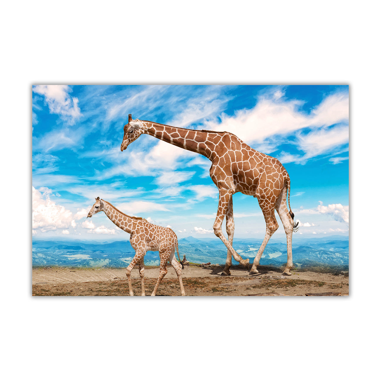 Baby Giraffe Blue Sky Canvas Wall Art Picture Print for the Living Room, Bedroom, Home Decor