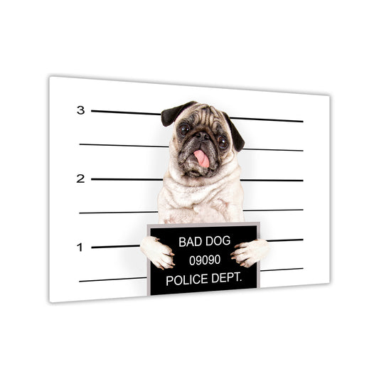 Bad Dog Line Up Canvas Wall Art Picture Print for the Living Room, Bedroom, Home Decor