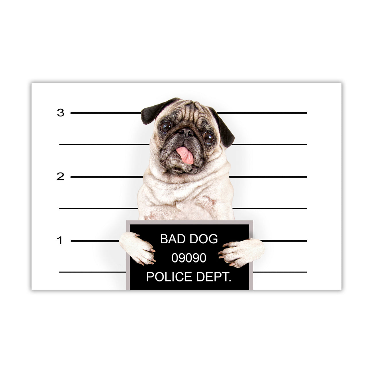 Bad Dog Line Up Canvas Wall Art Picture Print for the Living Room, Bedroom, Home Decor