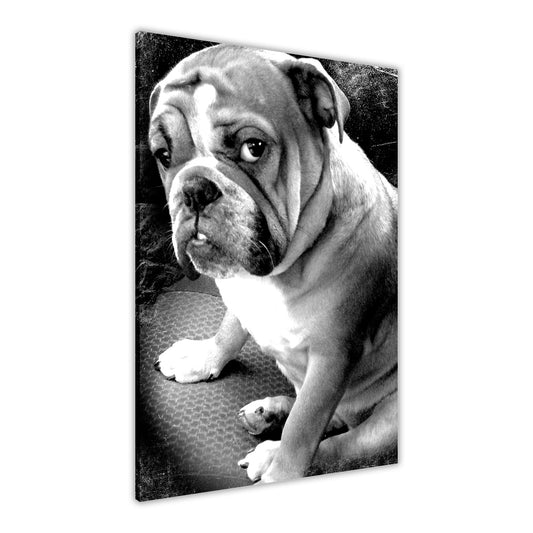 Bulldog Black & White Canvas Wall Art Picture Print for the Living Room, Bedroom, Home Decor
