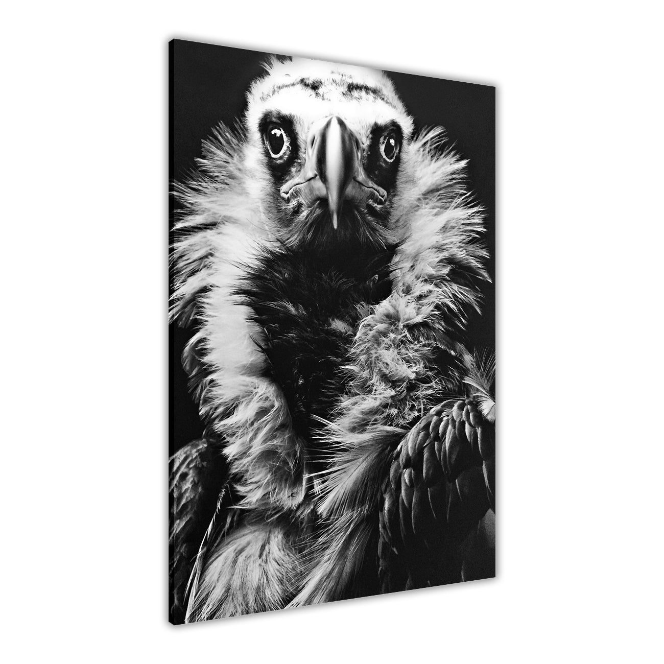 Eagle Portrait Canvas Wall Art Picture Print for the Living Room, Bedroom, Home Decor