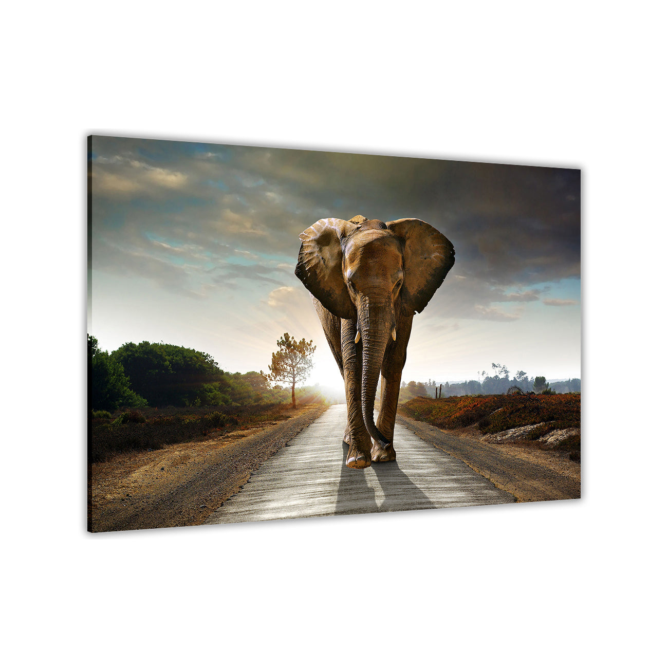 Elephant On Road Canvas Wall Art Picture Print for the Living Room, Bedroom, Home Decor
