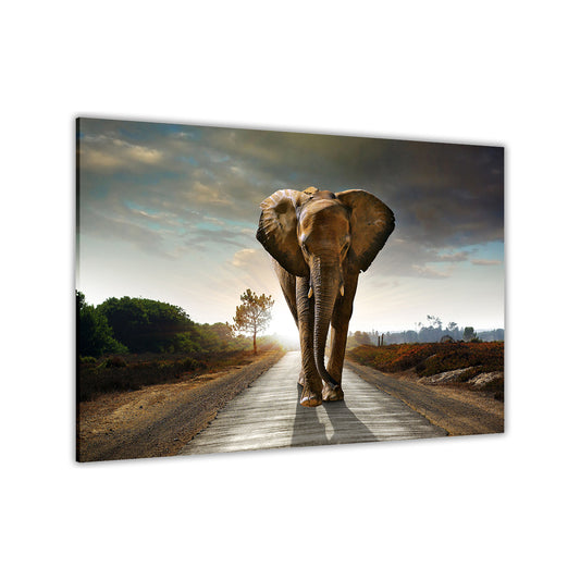 Elephant On Road Canvas Wall Art Picture Print for the Living Room, Bedroom, Home Decor
