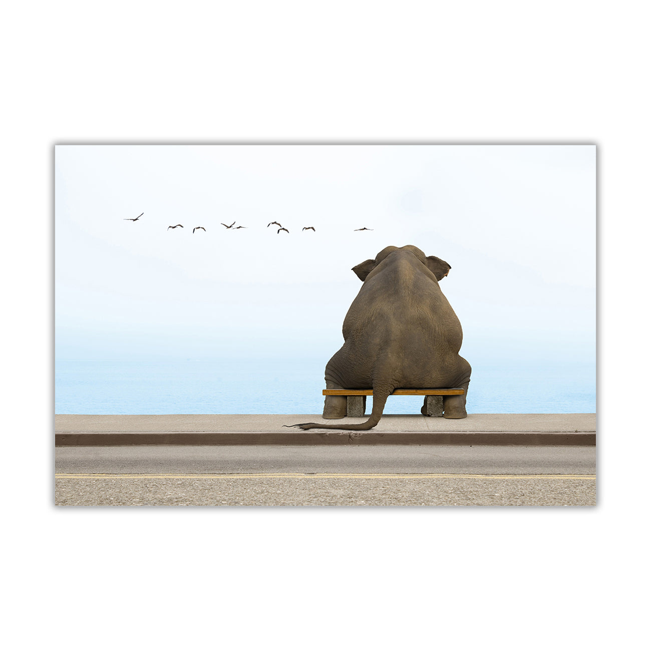 Elephant Seaside Canvas Wall Art Picture Print for the Living Room, Bedroom, Home Decor