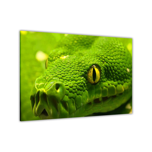 Green Anaconda Canvas Wall Art Picture Print for the Living Room, Bedroom, Home Decor