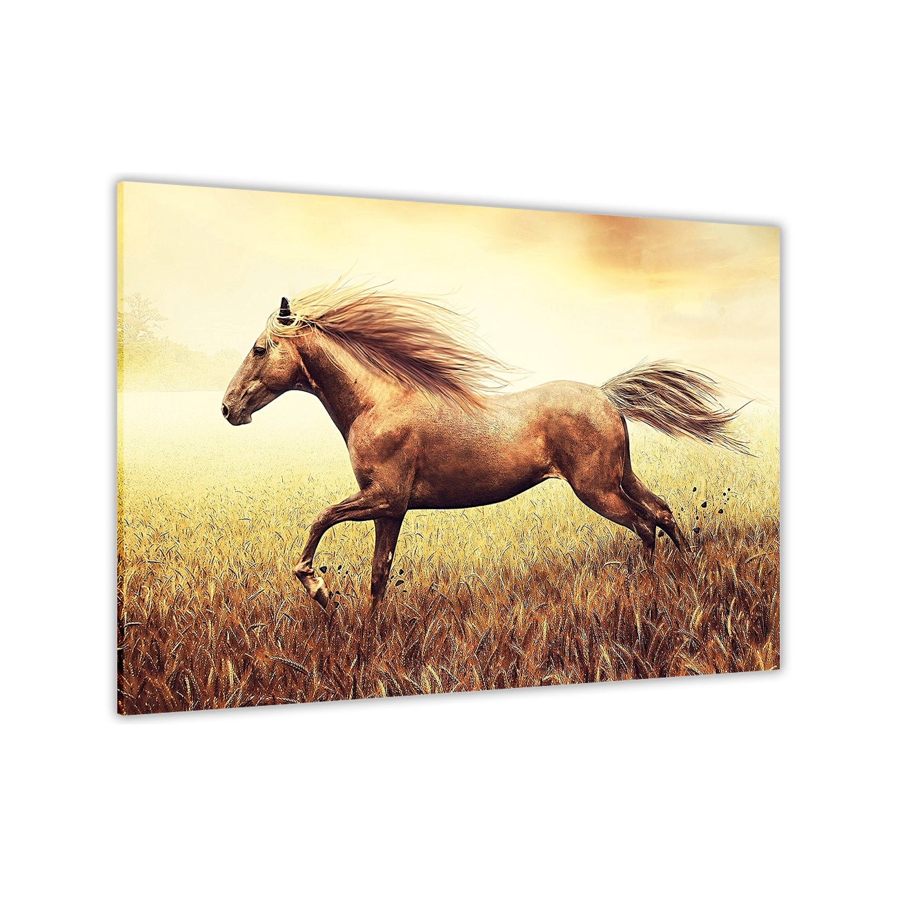 Horse Running Through Field Canvas Wall Art Picture Print for the Living Room, Bedroom, Home Decor