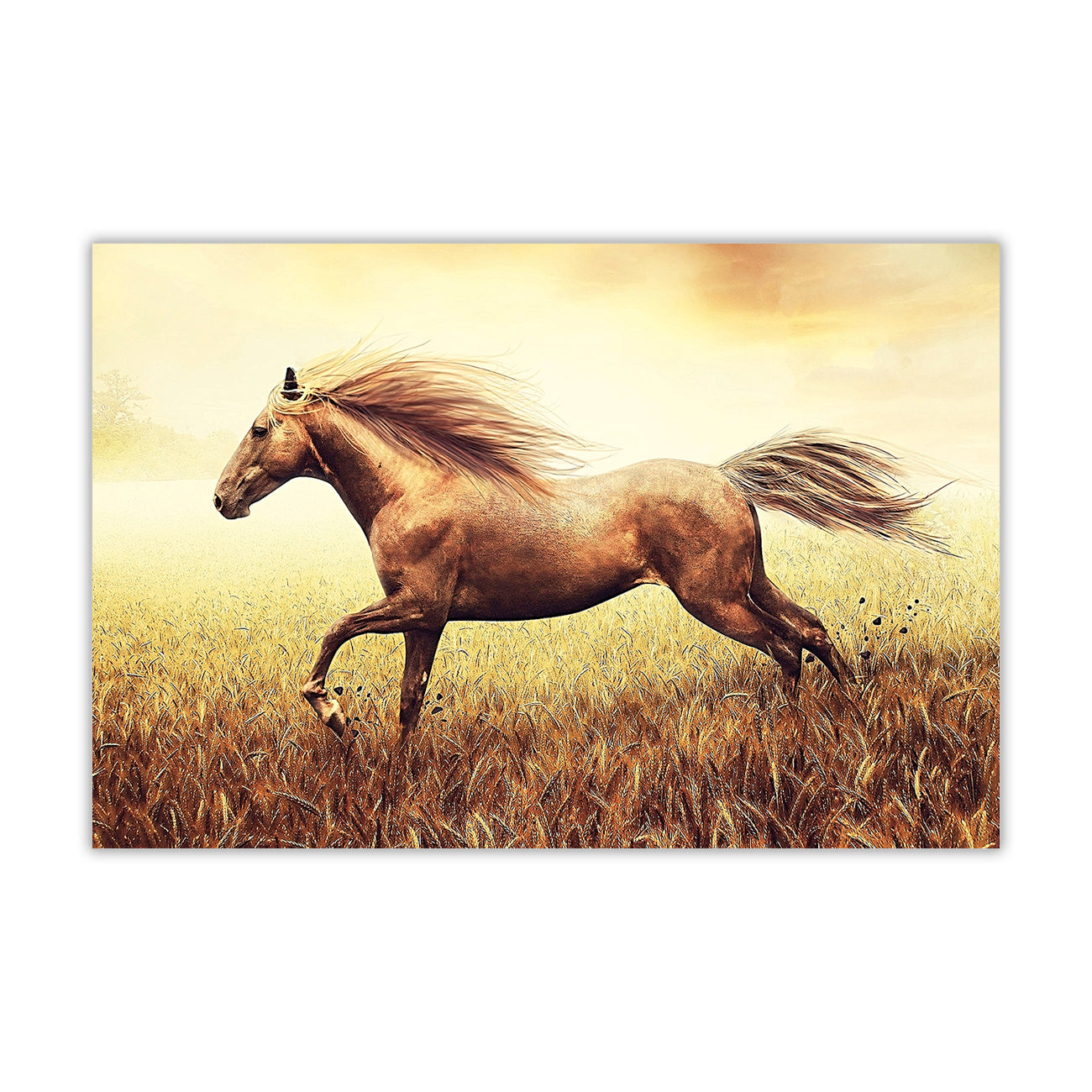 Horse Running Through Field Canvas Wall Art Picture Print for the Living Room, Bedroom, Home Decor