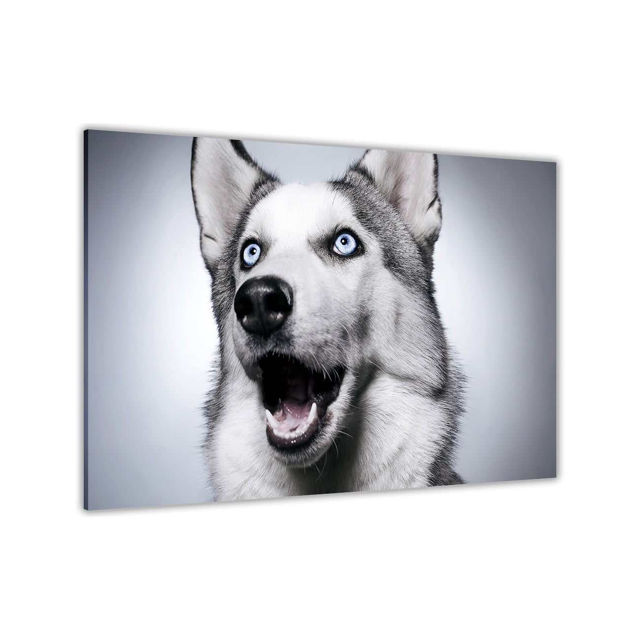 Husky Dog Canvas Wall Art Picture Print for the Living Room, Bedroom, Home Decor
