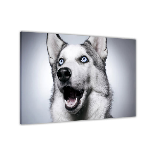 Husky Dog Canvas Wall Art Picture Print for the Living Room, Bedroom, Home Decor