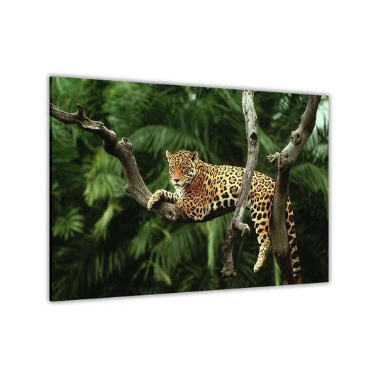 Jaguar On Tree Canvas Wall Art Picture Print for the Living Room, Bedroom, Home Decor