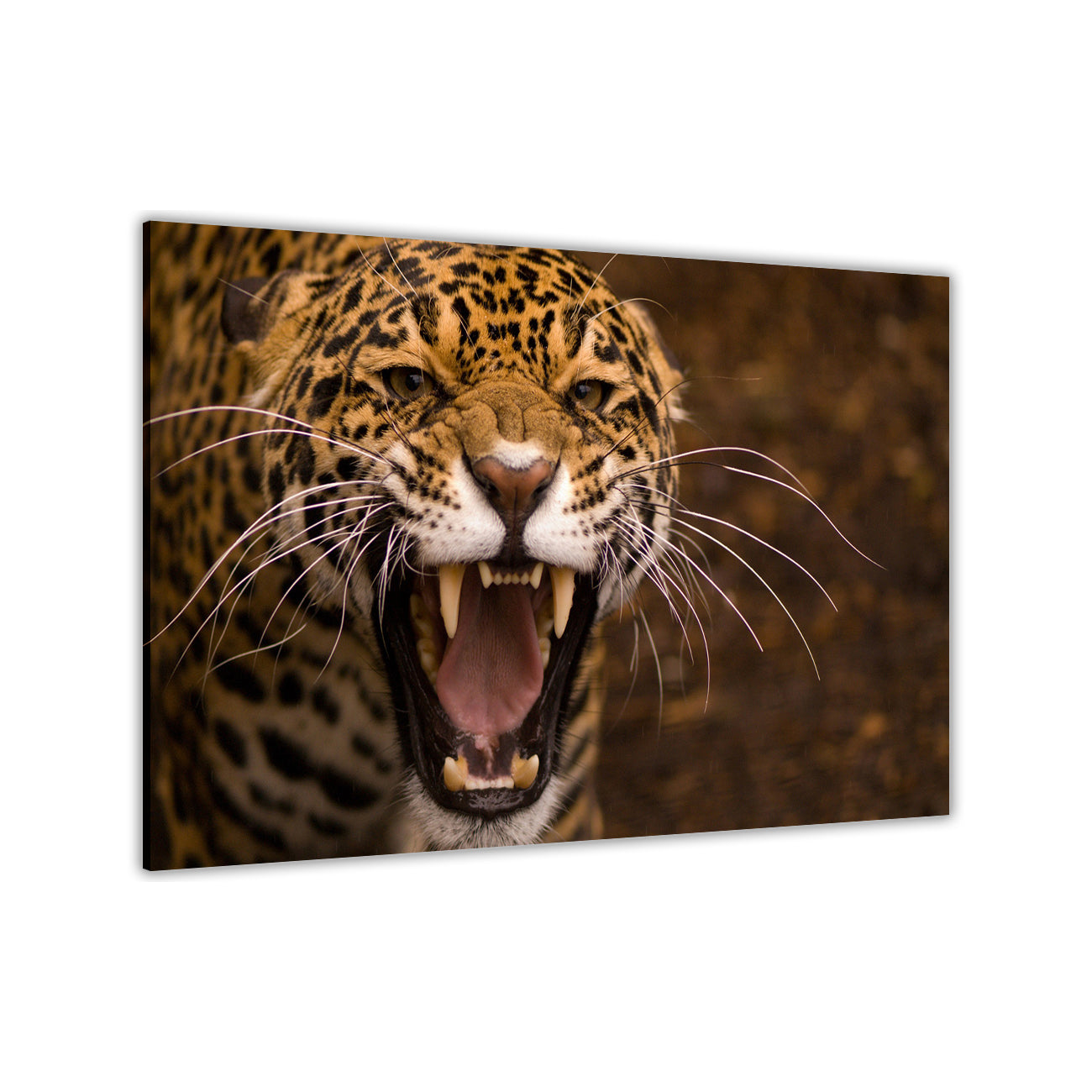 Leopard Canvas Wall Art Picture Print for the Living Room, Bedroom, Home Decor