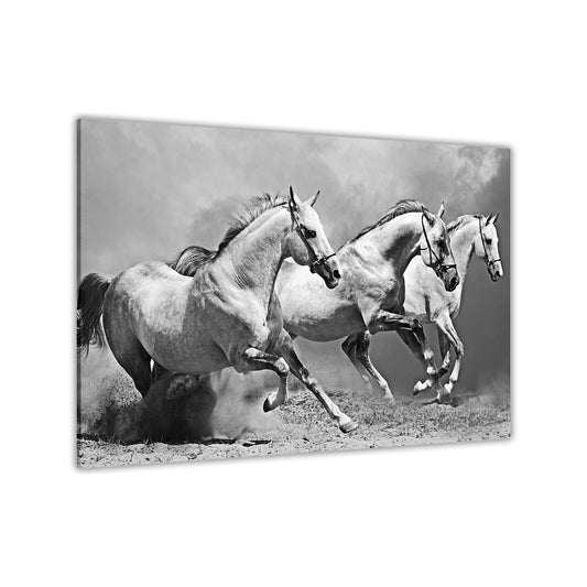 White Horses Black & White Canvas Wall Art Picture Print for the Living Room, Bedroom, Home Decor