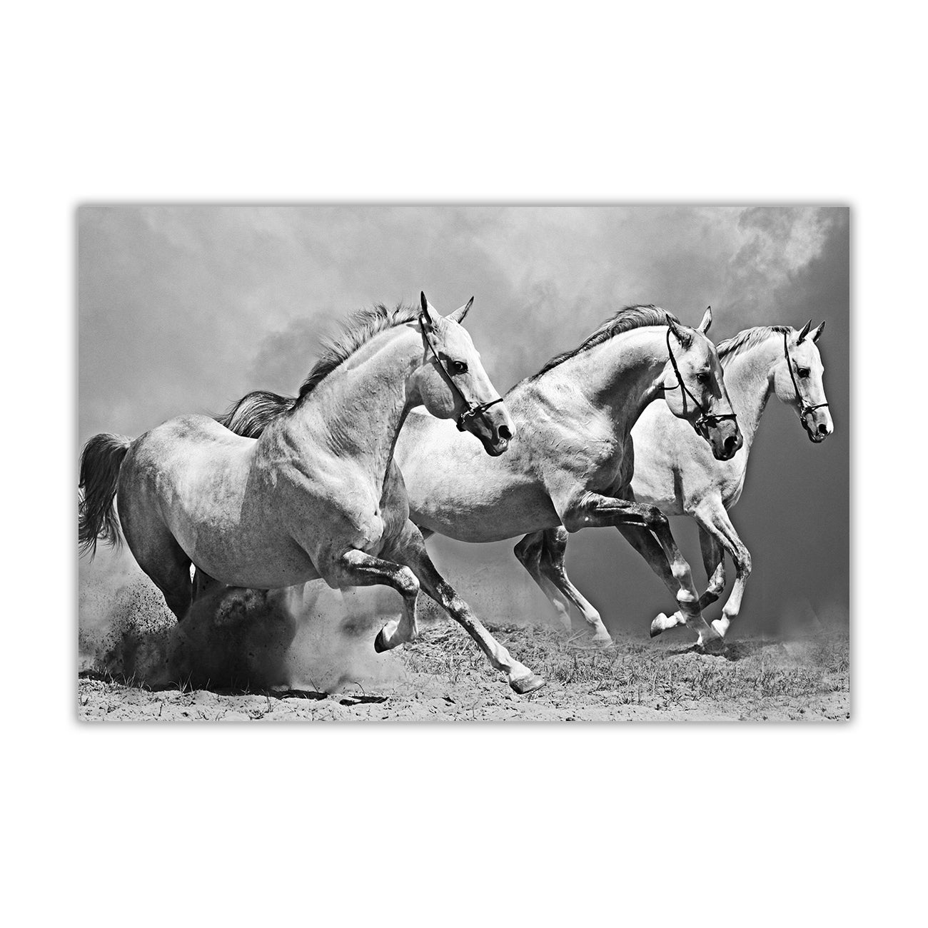 White Horses Black & White Canvas Wall Art Picture Print for the Living Room, Bedroom, Home Decor