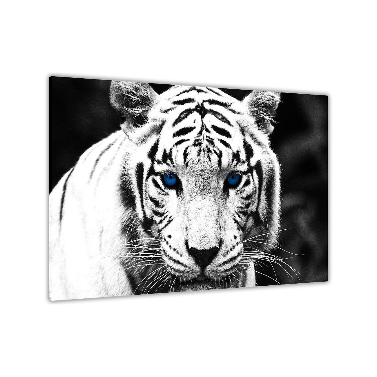 White Tiger Landscape Canvas Wall Art Picture Print for the Living Room, Bedroom, Home Decor