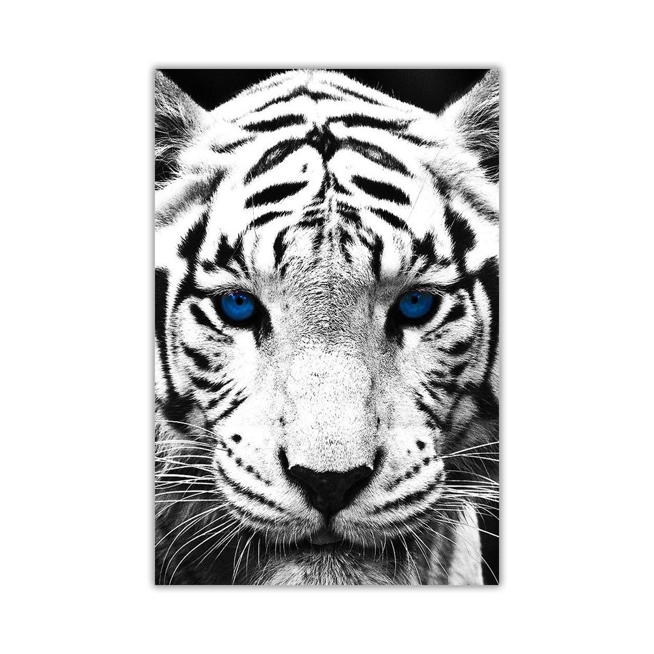 White Tiger Portrait Canvas Wall Art Picture Print for the Living Room, Bedroom, Home Decor