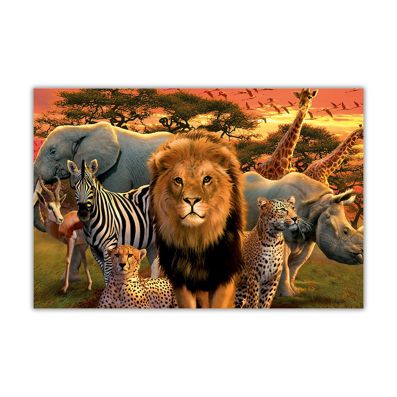 Wild Cute African Animals Canvas Wall Art Picture Print for the Living Room, Bedroom, Home Decor