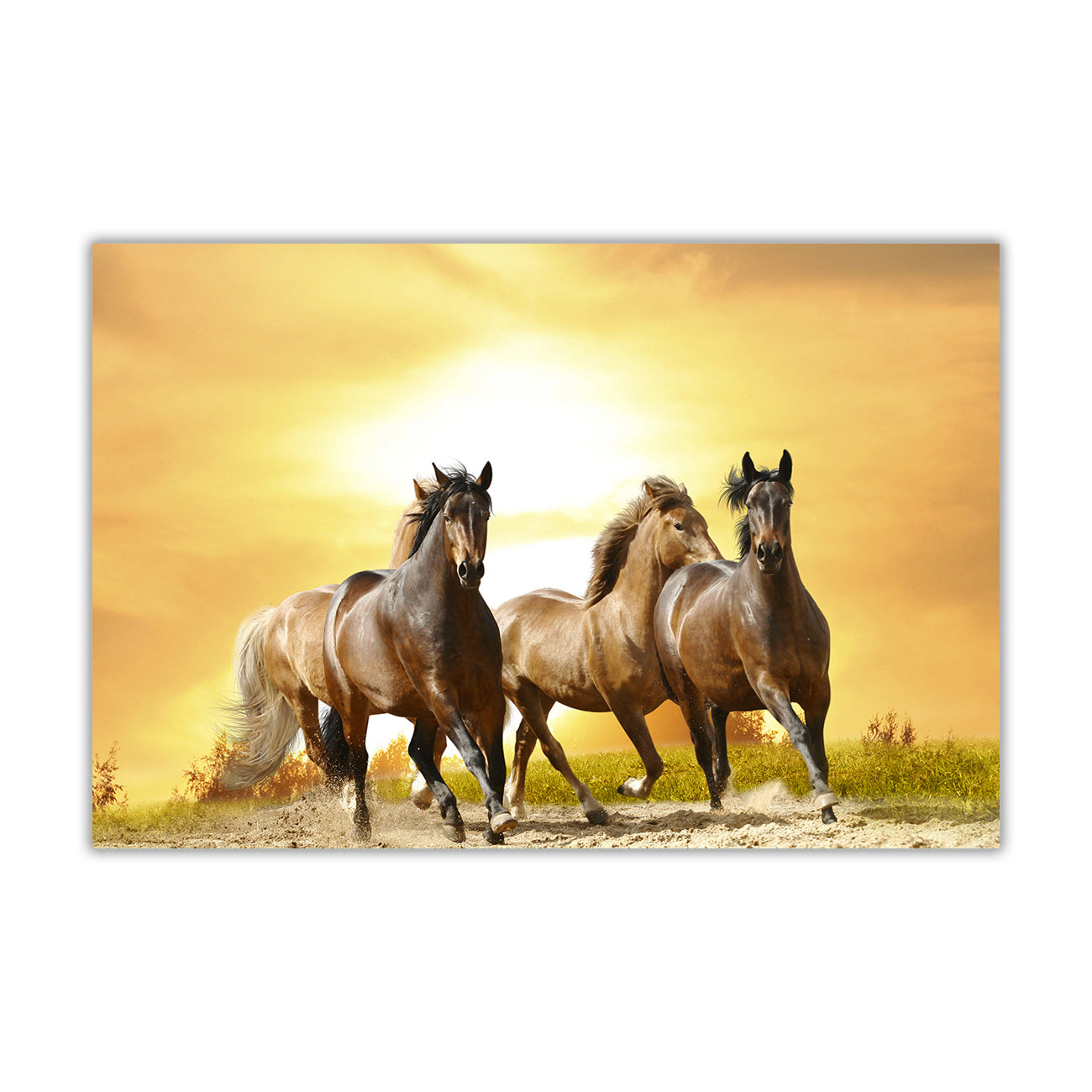 Wild Horses Sunset Canvas Wall Art Picture Print for the Living Room, Bedroom, Home Decor