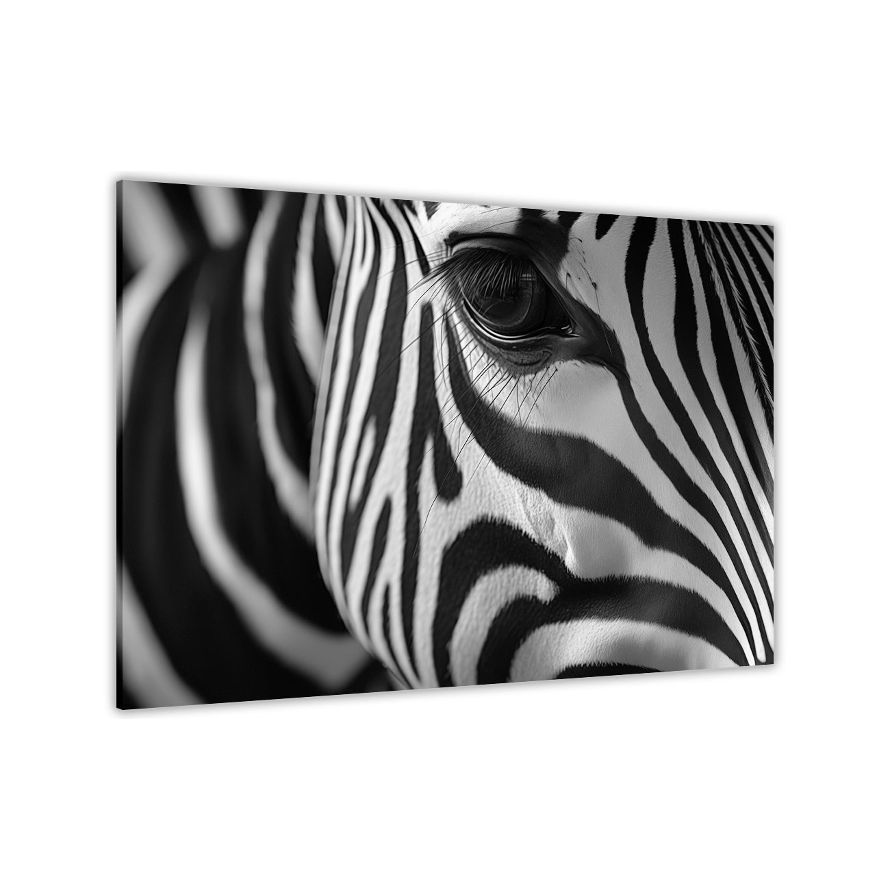 Zebra Head Canvas Wall Art Picture Print for the Living Room, Bedroom, Home Decor
