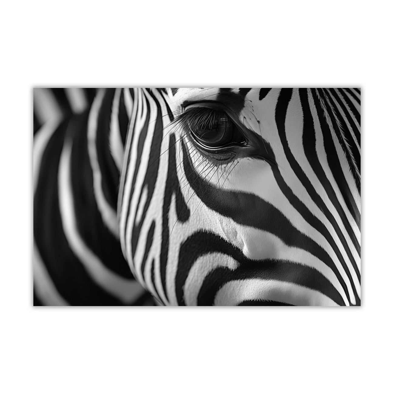Zebra Head Canvas Wall Art Picture Print for the Living Room, Bedroom, Home Decor
