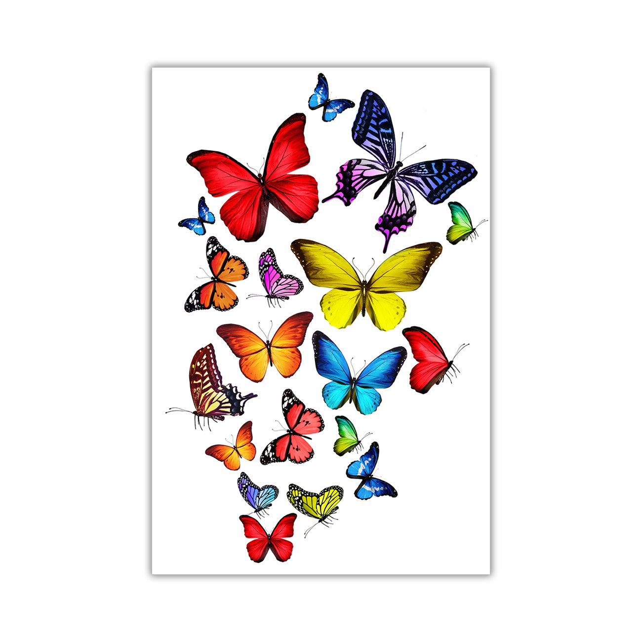 Butterflies Canvas Wall Art Picture Print for the Living Room, Bedroom, Home Decor