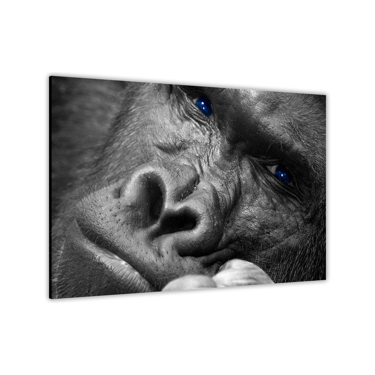 Gorilla Thinking Canvas Wall Art Picture Print for the Living Room, Bedroom, Home Decor