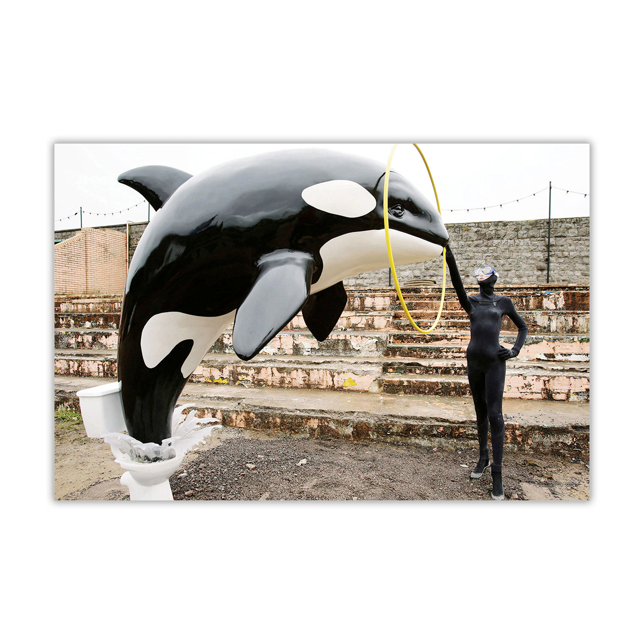 Banksy Orca Canvas Wall Art Picture Print for the Living Room, Bedroom, Home Decor