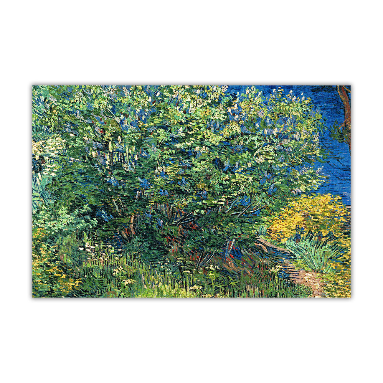 Van Gogh Lilac Bush Canvas Wall Art Picture Print for the Living Room, Bedroom, Home Decor