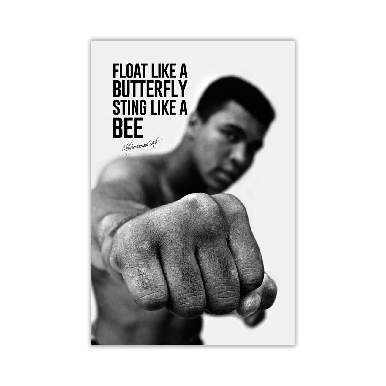 Muhammad Ali Butterfly Quote Canvas Wall Art Picture Print for the Living Room, Bedroom, Home Decor