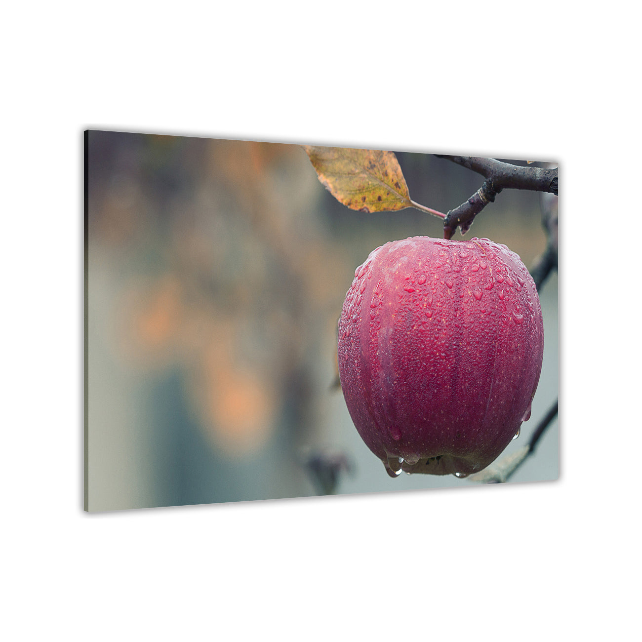 Apple Tree Canvas Wall Art Picture Print for the Living Room, Bedroom, Home Decor