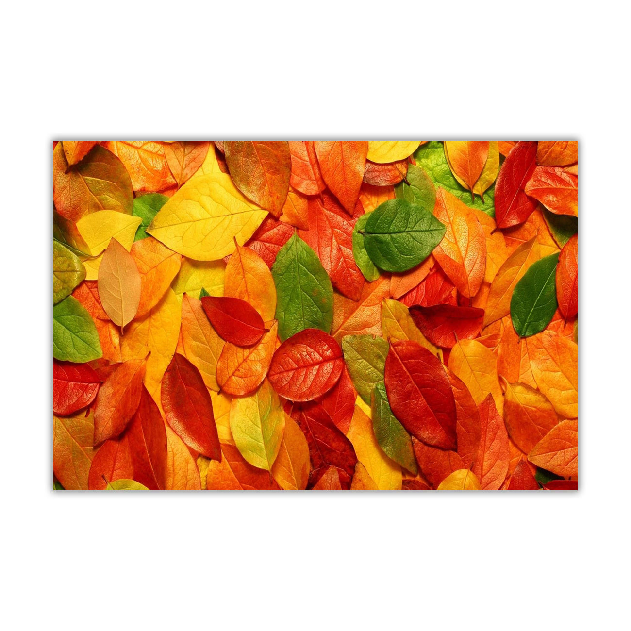 Autumn Leaves Canvas Wall Art Picture Print for the Living Room, Bedroom, Home Decor