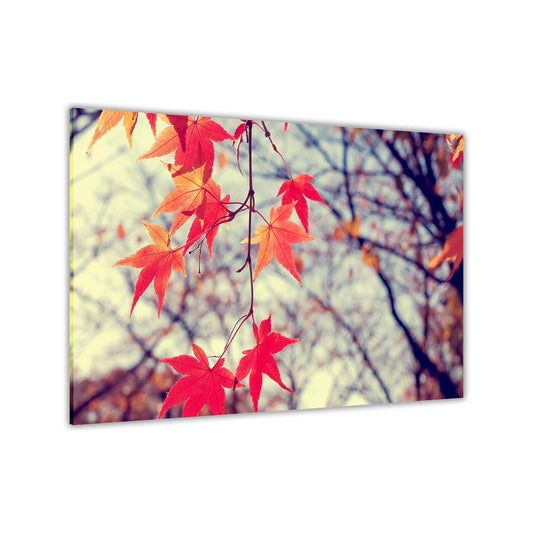 Autumn Red Leaves Canvas Wall Art Picture Print for the Living Room, Bedroom, Home Decor