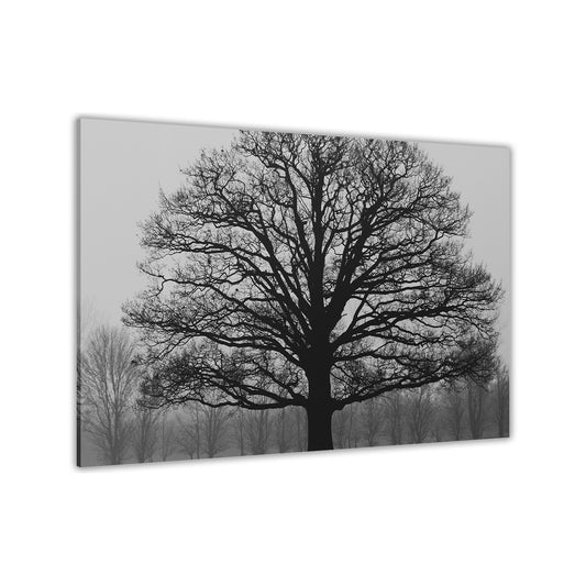 Autumn Tree BW Canvas Wall Art Picture Print for the Living Room, Bedroom, Home Decor