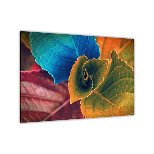 Coloured Leaves Canvas Wall Art Picture Print for the Living Room, Bedroom, Home Decor