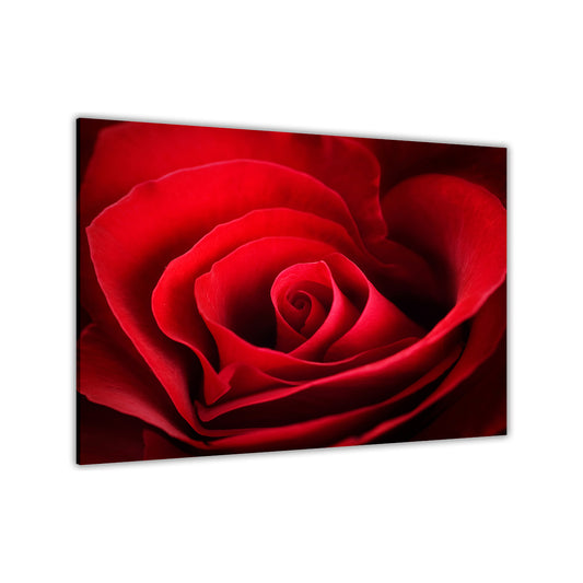 Dark Red Rose Canvas Wall Art Picture Print for the Living Room, Bedroom, Home Decor