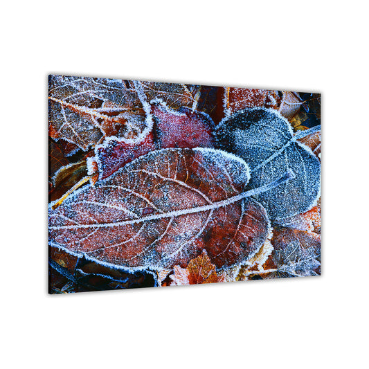 Frozen Leaves Canvas Wall Art Picture Print for the Living Room, Bedroom, Home Decor
