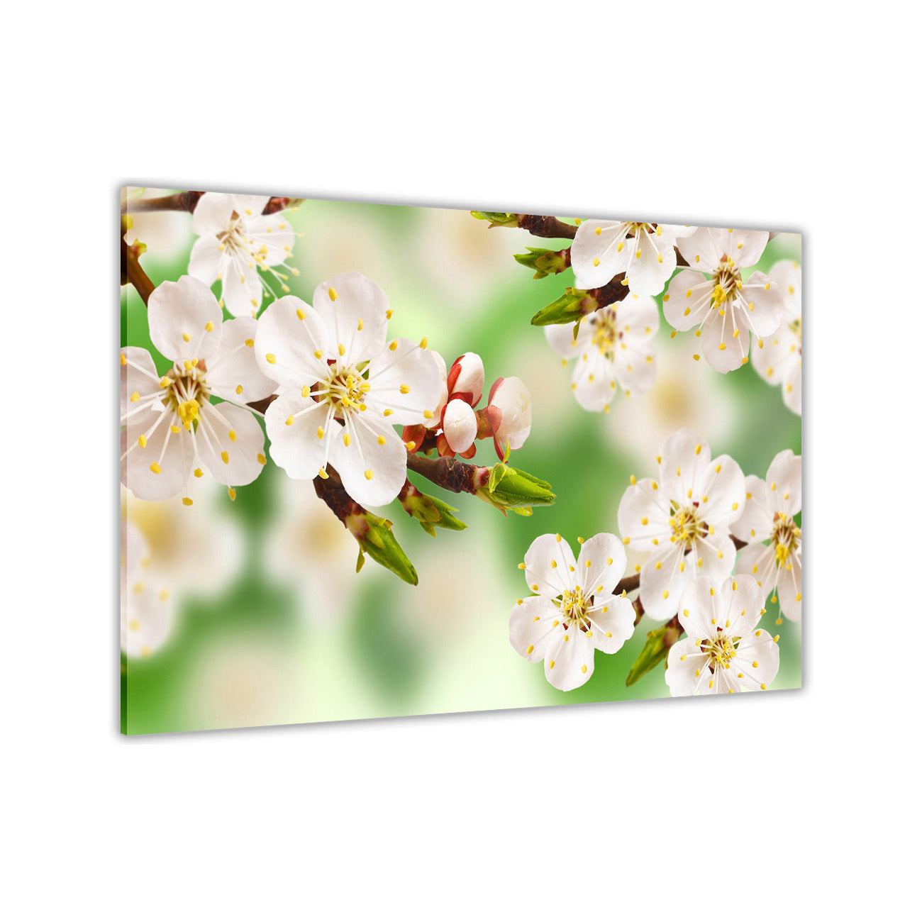 Green Spring Blossom Canvas Wall Art Picture Print for the Living Room, Bedroom, Home Decor