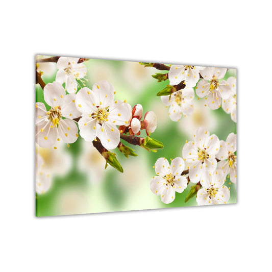 Green Spring Blossom Canvas Wall Art Picture Print for the Living Room, Bedroom, Home Decor